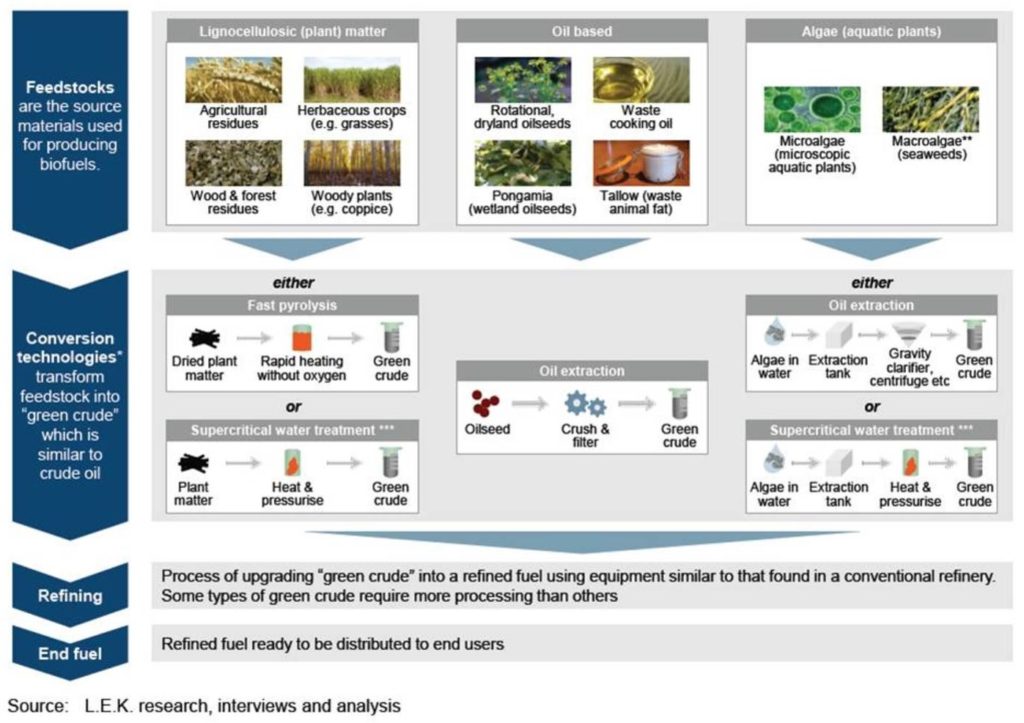 biofuel creation process chart