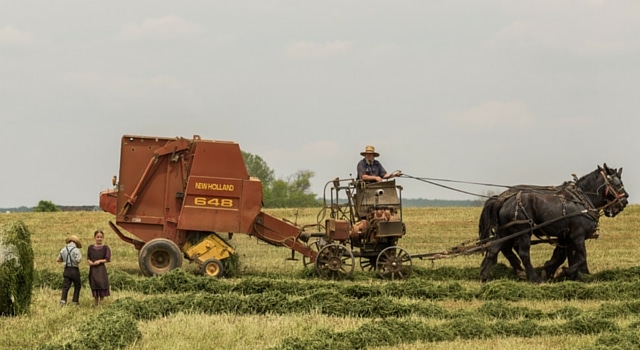 Farm Fuel Tanks - A Guide to Fuel Storage Tanks for Farms.